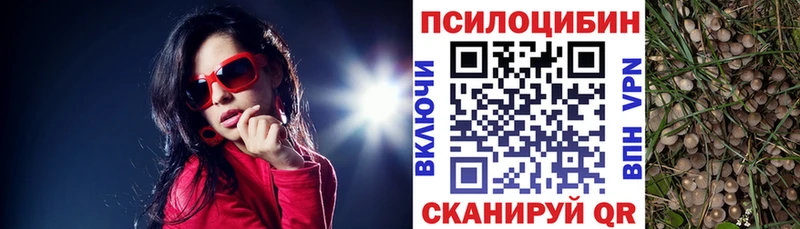 Псилоцибиновые грибы Cubensis  где можно купить наркотик  Армавир 