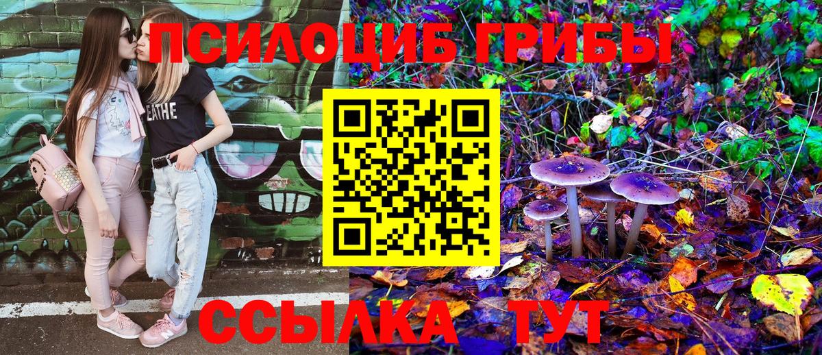 Галлюциногенные грибы Psilocybe  Вход с VPN  Армавир  Галлюциногенные грибы мицелий 