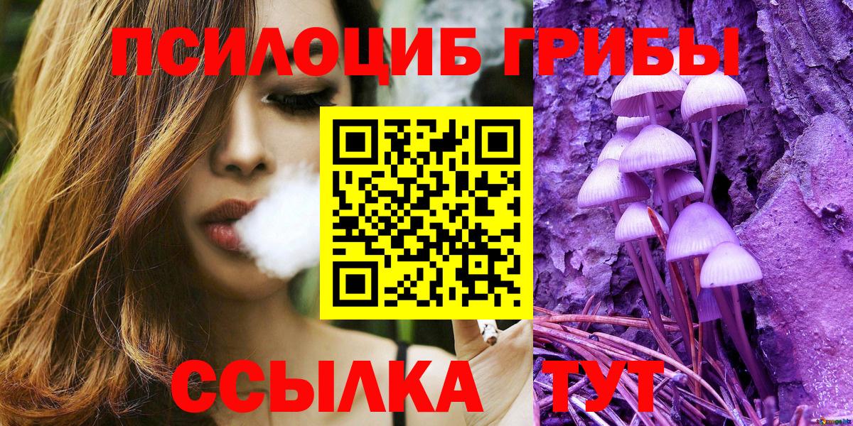 Галлюциногенные грибы Cubensis Армавир